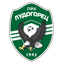 Ludogorets Razgrad II logo