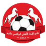 Al Akhaa Al Ahli SC Aley logo