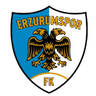 Erzurumspor FK logo