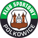 Gornik Polkowice logo - Polkowice VS Slowianin Woliborz Result Today