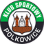 Gornik Polkowice logo