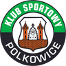 Gornik Polkowice logo