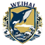 Weihai Team logo - Shandong Qilu Football Super League 36609 Results