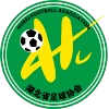 Hubei U16 logo - U VS Hubei U Score