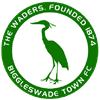 Biggleswade Town logo - Town VS Hitchin Town Result