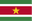 Suriname logo - Fifa World Cup Interconfederation Playoffs 31774 Sport