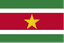 Suriname logo