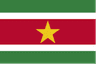 Suriname logo