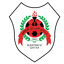 Al Rayyan B logo