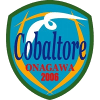 Cobaltore Onagawa logo - Tokyo VS Cobaltore Onagawa Score