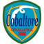 Cobaltore Onagawa logo