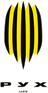 Rukh Vynnyky logo