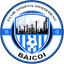 CSO Baicoi logo