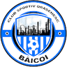 CSO Baicoi logo