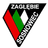 Zaglebie Sosnowiec Youth logo