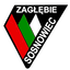 Zaglebie Sosnowiec Youth logo