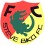 Steve Biko FC logo