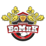 Bomik Tsivilsk logo
