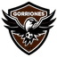 CA Los Gorriones logo