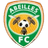 Abeilles logo - Ben Ligue 33305 Football