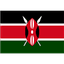 Kenya Women logo