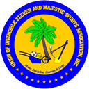 Invicible Eleven logo - Paynesville VS Invicible Eleven Live Score Today