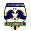 Hills Brumbies logo
