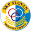 Moravska Trebova logo