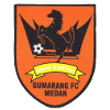 Gumarang FC logo - Fc VS Batubara United Result