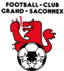 Grand Saconnex logo