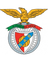 Arronches e Benfica logo
