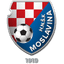 NK Moslavina Kutina logo