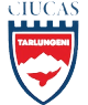 ASC Ciucas Tarlungeni logo - Brasov VS Asc Ciucas Tarlungeni Result Today