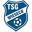 TSG Wieseck Youth logo