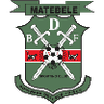 BDF XI logo
