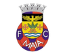 Maia logo