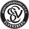 SV Elversberg U19 logo