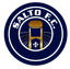 Salto SP Youth logo