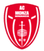 Monza U19 logo