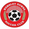 Wembley Downs logo - Downs VS Uwanedlands Fc Live