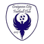 Craigavon City (W) logo