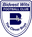 Bidvest Wits logo