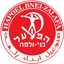 Hapoel Bnei Zalfa logo