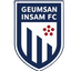 Geumsan Insam FC logo