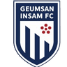 Geumsan Insam FC logo