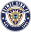 Nejmet Sinai FC logo