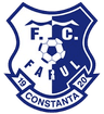 Farul Constanta Women logo