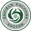 Enfield City Falcos logo