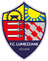 Lumezzane U19 logo