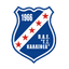 Kallithea U19 logo